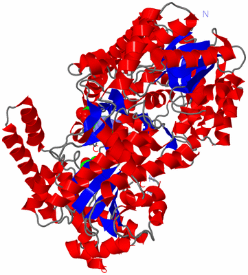 Image Asym./Biol. Unit