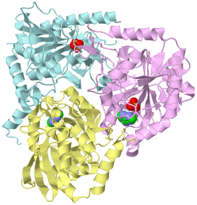 Image Biological Unit 2