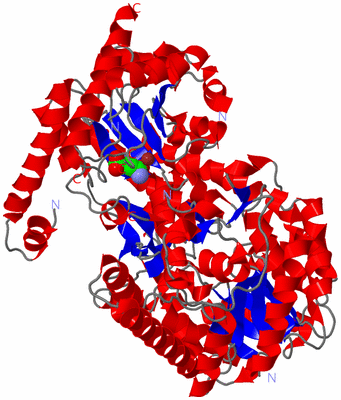 Image Asym./Biol. Unit