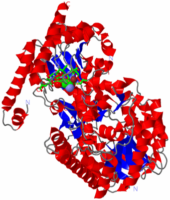 Image Asym./Biol. Unit - sites