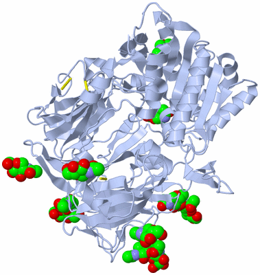 Image Biological Unit 1