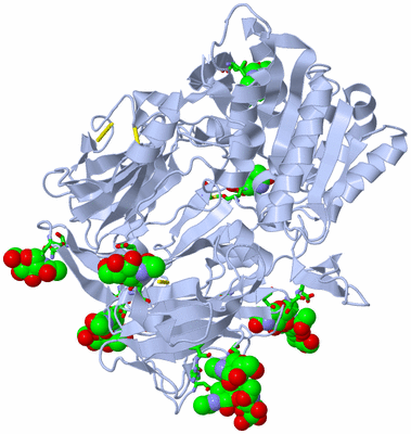 Image Biol. Unit 1 - sites