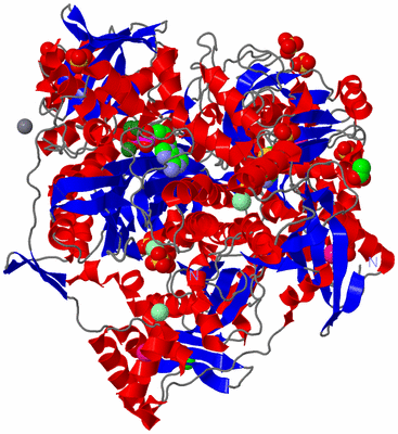 Image Asym./Biol. Unit