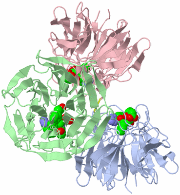 Image Asym./Biol. Unit