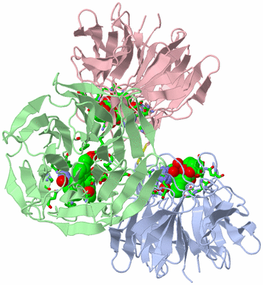 Image Asym./Biol. Unit - sites