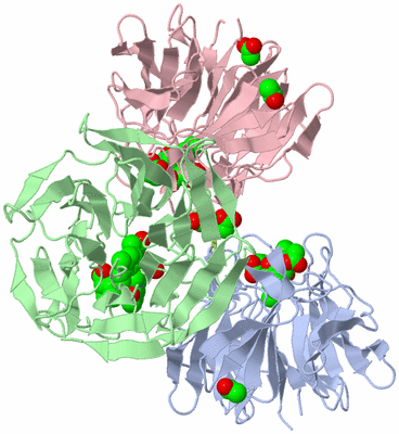 Image Asym./Biol. Unit