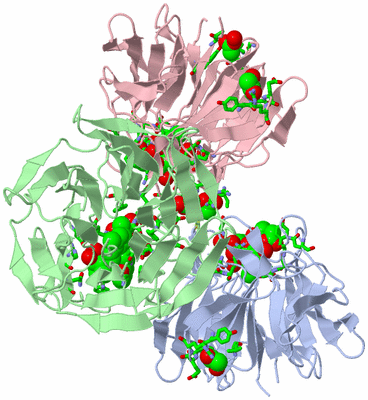 Image Asym./Biol. Unit - sites