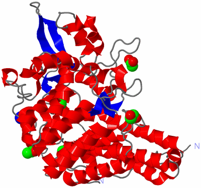 Image Asym./Biol. Unit