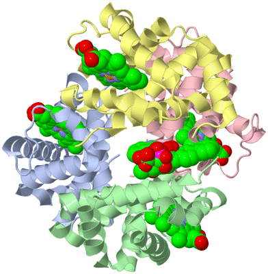 Image Asym./Biol. Unit