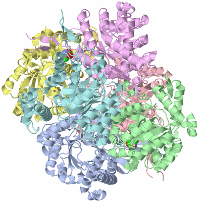 Image Asym./Biol. Unit