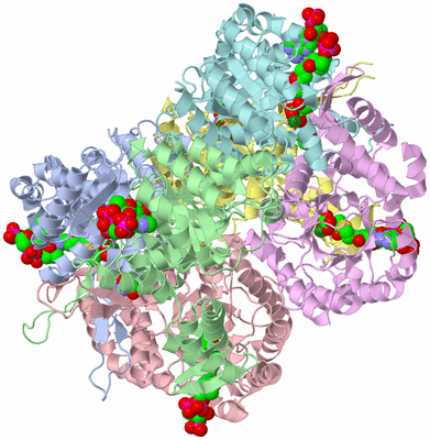 Image Asym./Biol. Unit