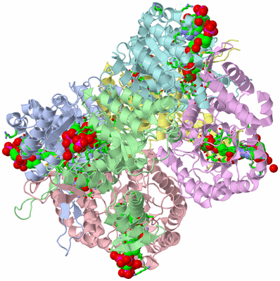 Image Asym./Biol. Unit - sites