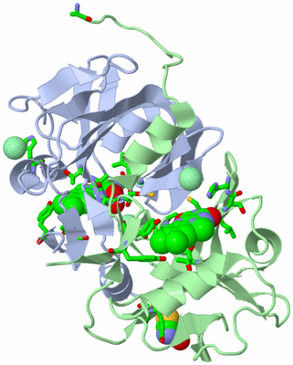 Image Biol. Unit 1 - sites