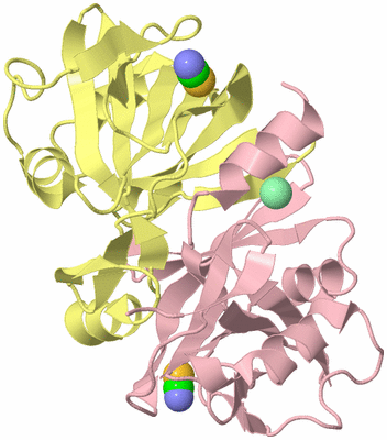 Image Biological Unit 2