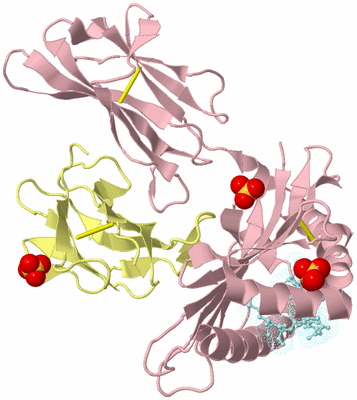 Image Biological Unit 2