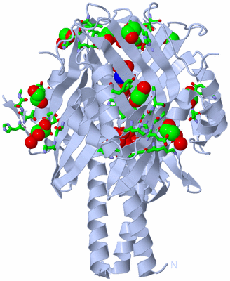 Image Biol. Unit 1 - sites