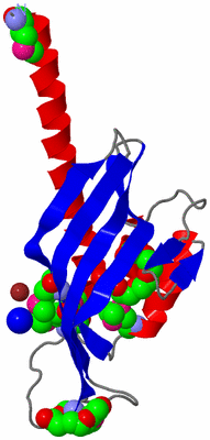 Image Asymmetric Unit