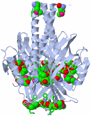 Image Biol. Unit 1 - sites