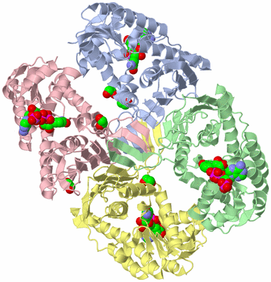 Image Asym./Biol. Unit