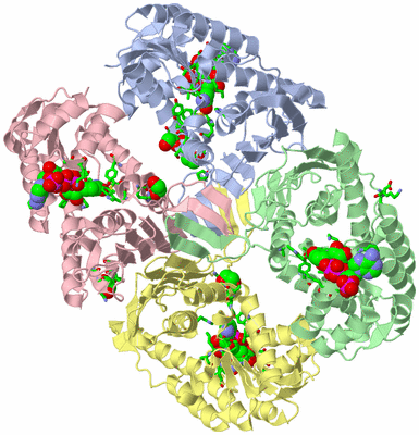 Image Asym./Biol. Unit - sites