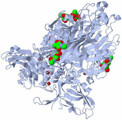 Image Biological Unit 1