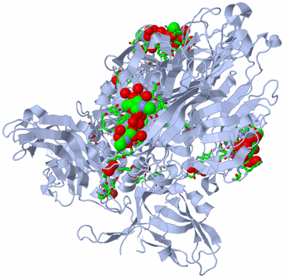 Image Biol. Unit 1 - sites