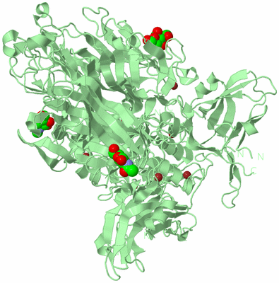 Image Biological Unit 2