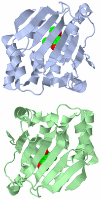 Image Asymmetric Unit