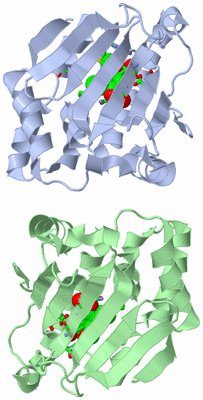 Image Asym. Unit - sites