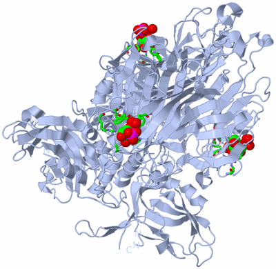 Image Biol. Unit 1 - sites