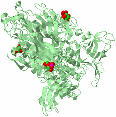 Image Biological Unit 2