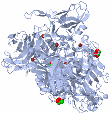 Image Biological Unit 1