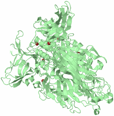 Image Biological Unit 2