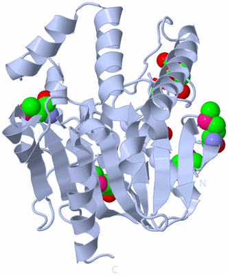 Image Biol. Unit 1 - sites