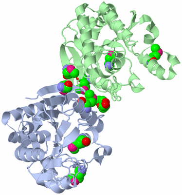 Image Biological Unit 3