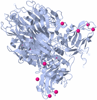 Image Biological Unit 1