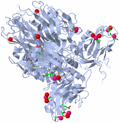 Image Biol. Unit 1 - sites