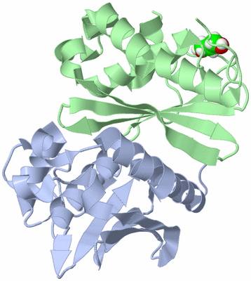 Image Biological Unit 3