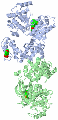 Image Asym./Biol. Unit