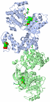 Image Asym./Biol. Unit - sites