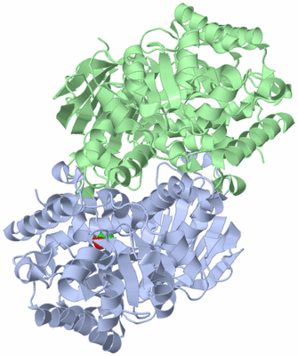 Image Asym./Biol. Unit