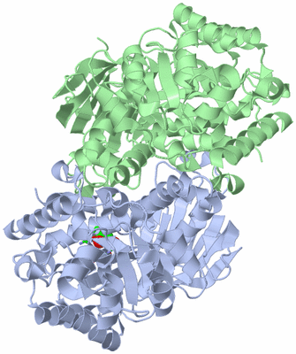 Image Asym./Biol. Unit - sites