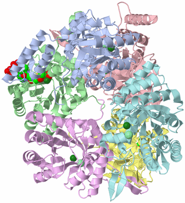 Image Asym./Biol. Unit