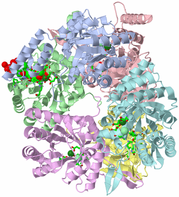 Image Asym./Biol. Unit - sites