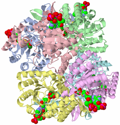 Image Asym./Biol. Unit