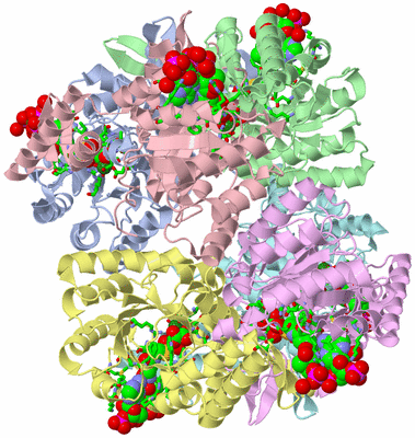 Image Asym./Biol. Unit - sites