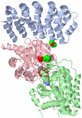 Image Asym./Biol. Unit