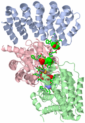 Image Asym./Biol. Unit - sites