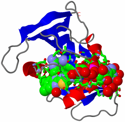 Image Asym./Biol. Unit - sites