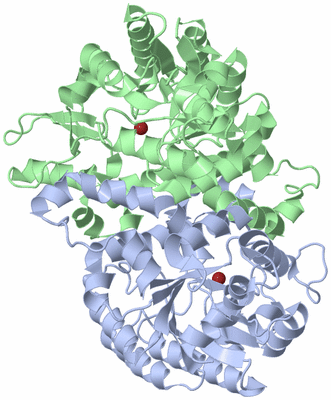 Image Asym./Biol. Unit